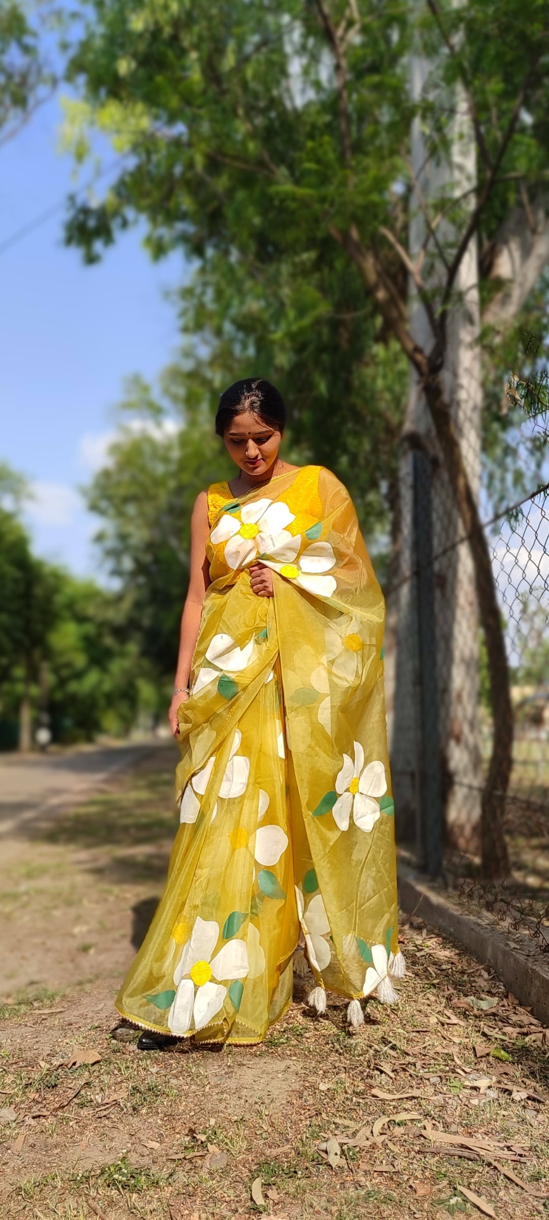 Handpainted mehndi organza saree with tassels