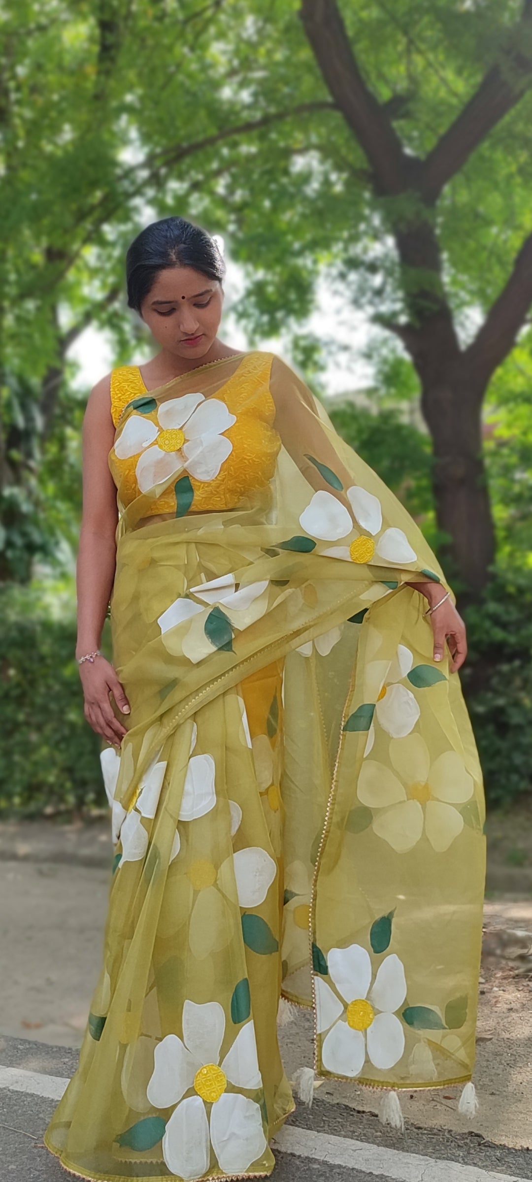 Handpainted mehndi organza saree with tassels