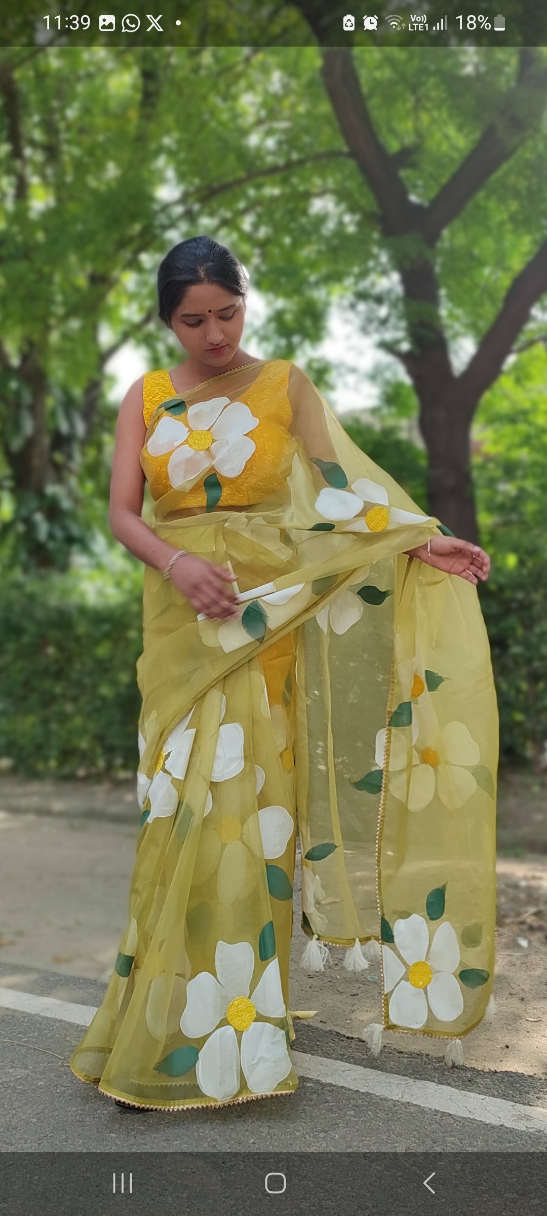 Handpainted mehndi organza saree with tassels