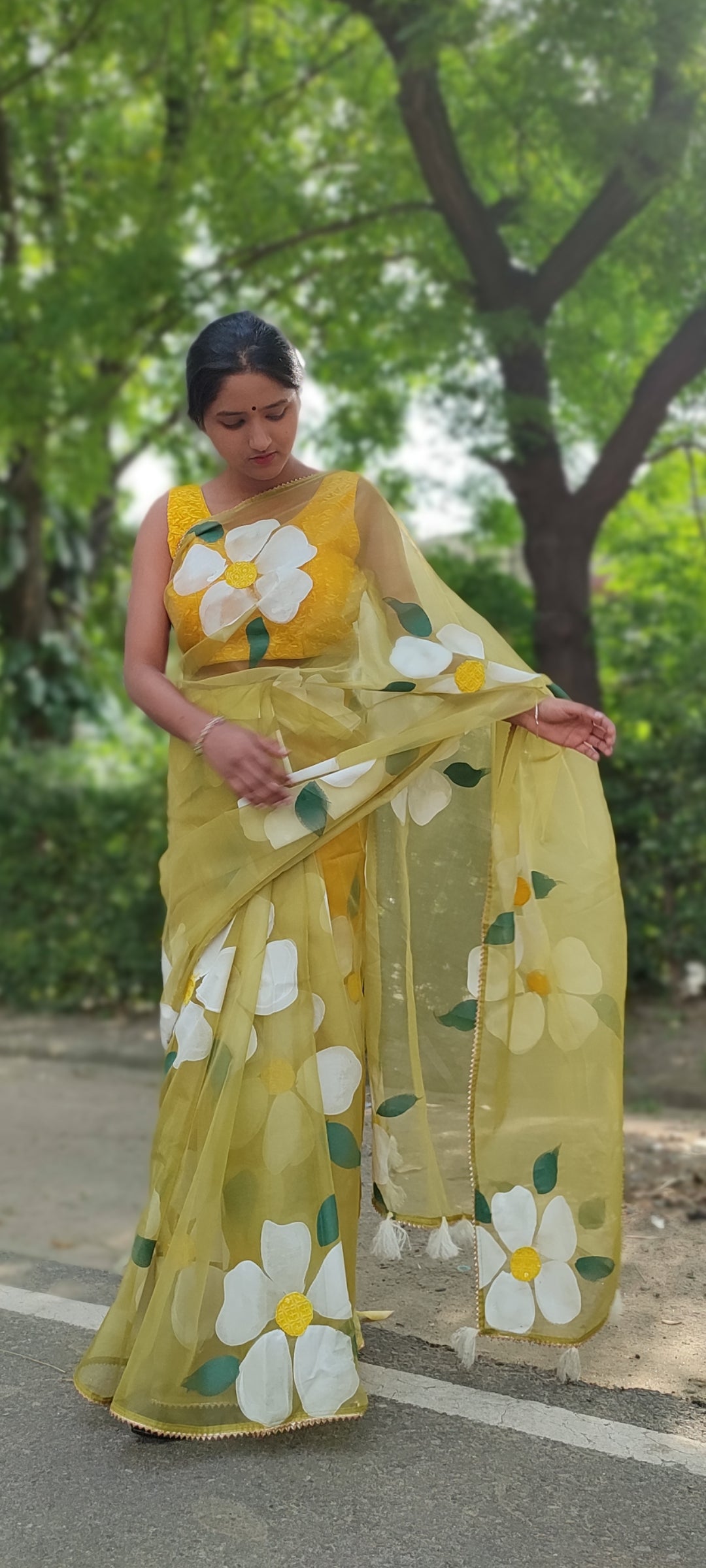 Handpainted mehndi organza saree with tassels