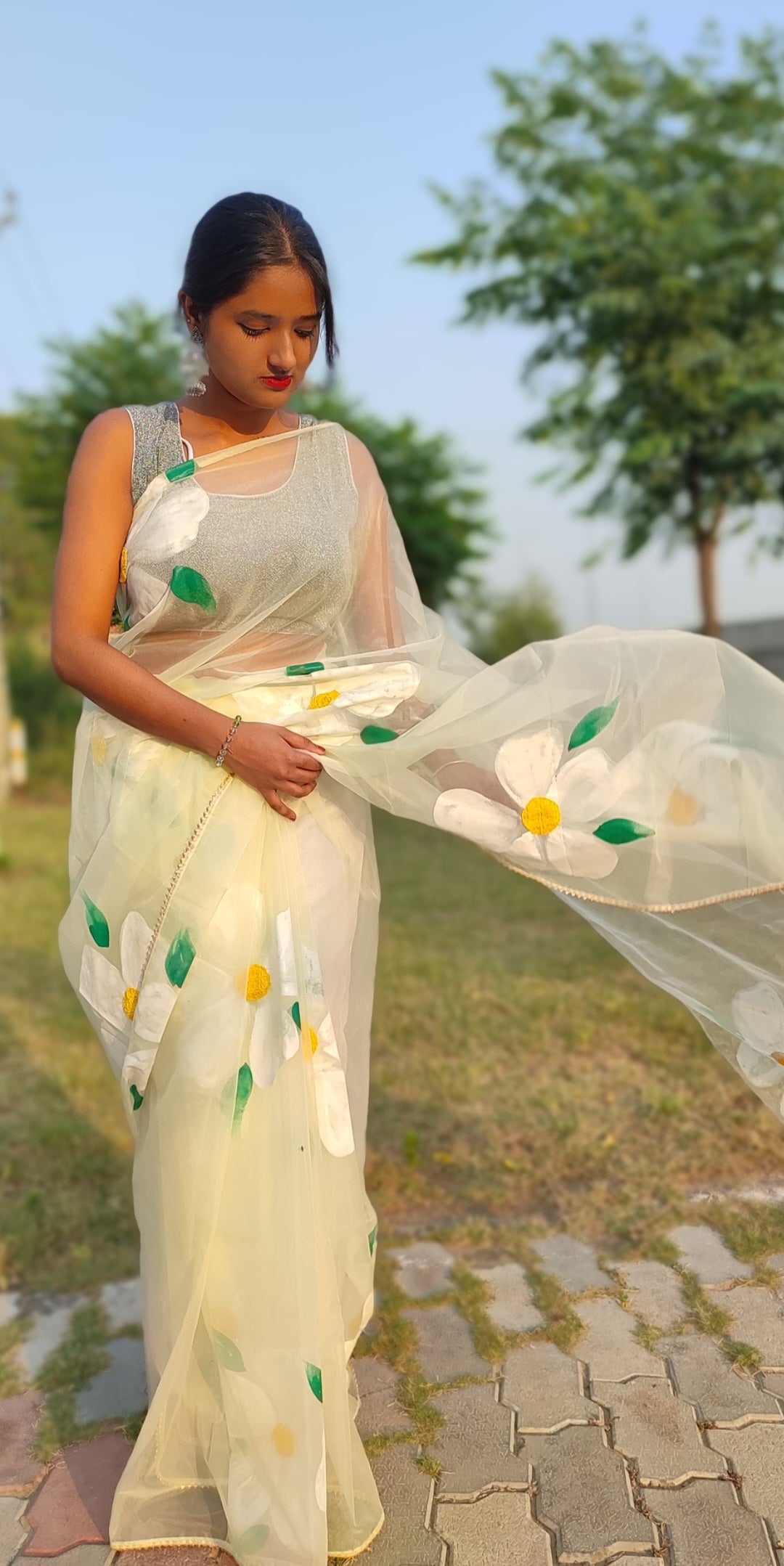 Handpainted pista organza saree