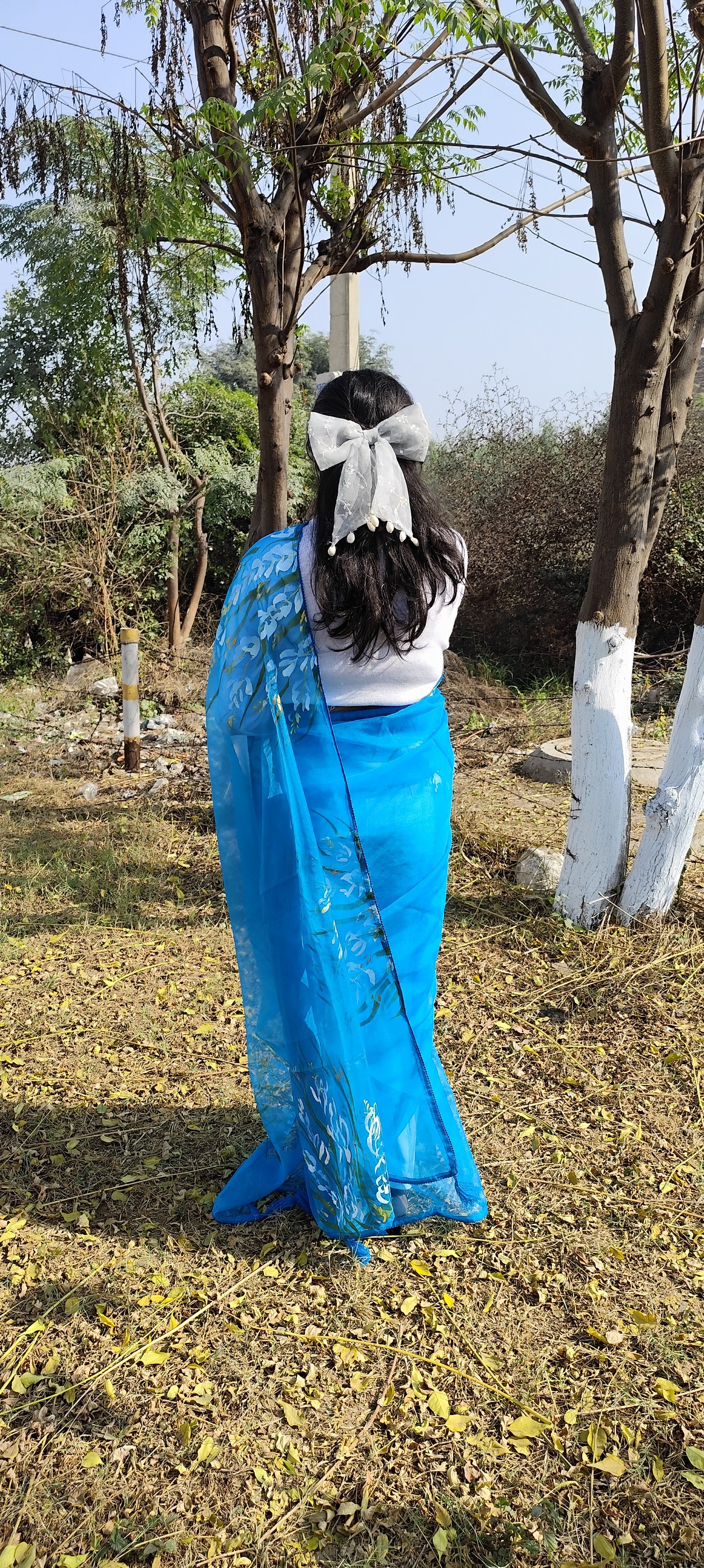 Sapphire Blue hand painted organza silk saree