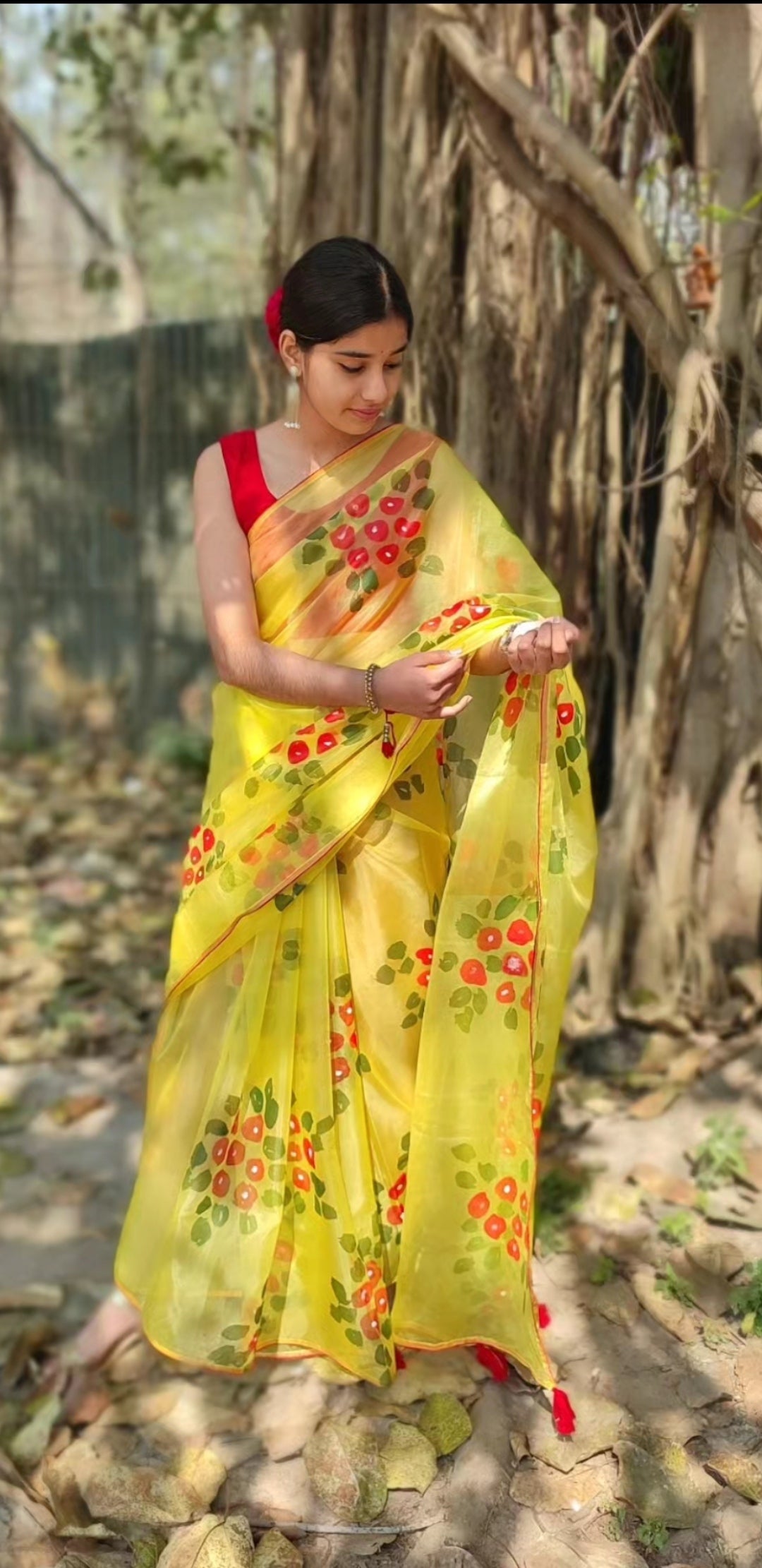 Hand-painted  organza saree