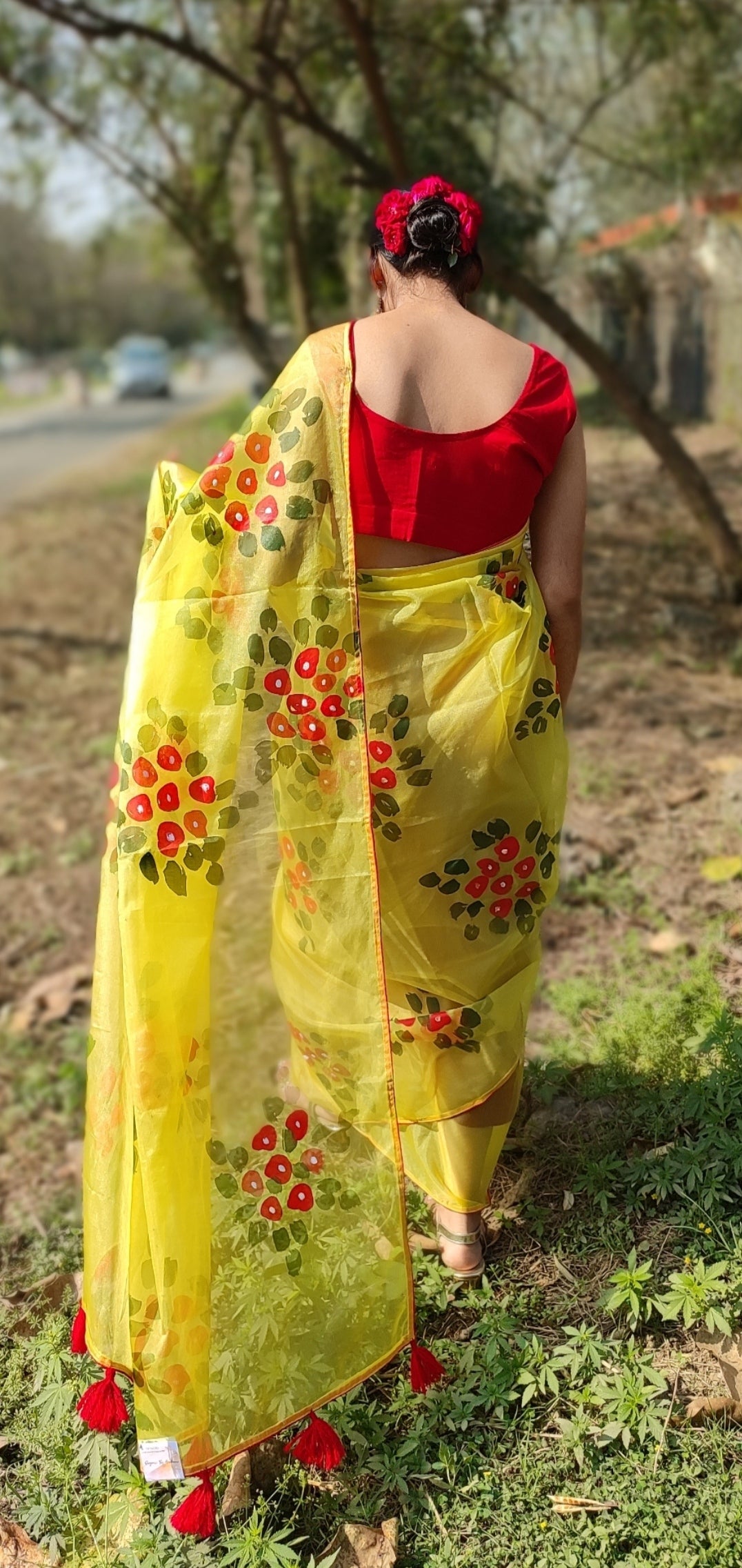 Hand-painted  organza saree