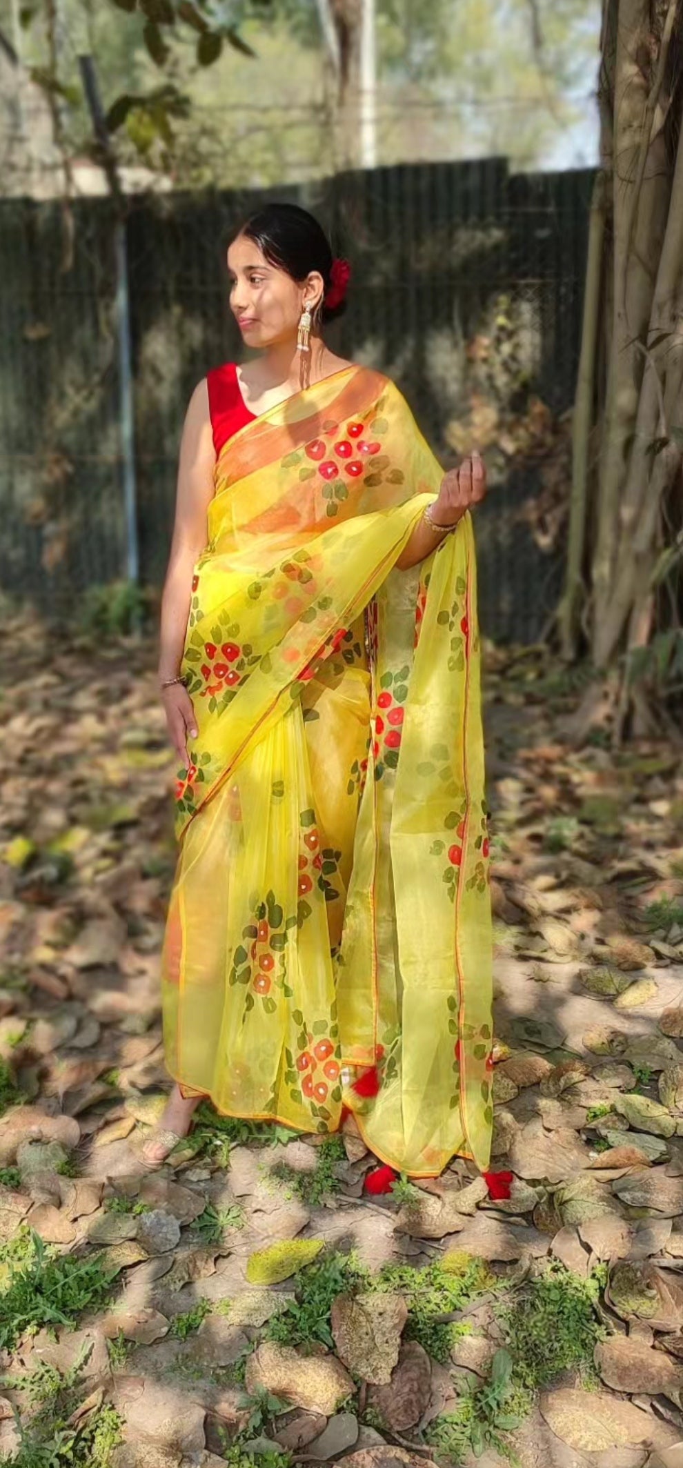 Hand-painted  organza saree