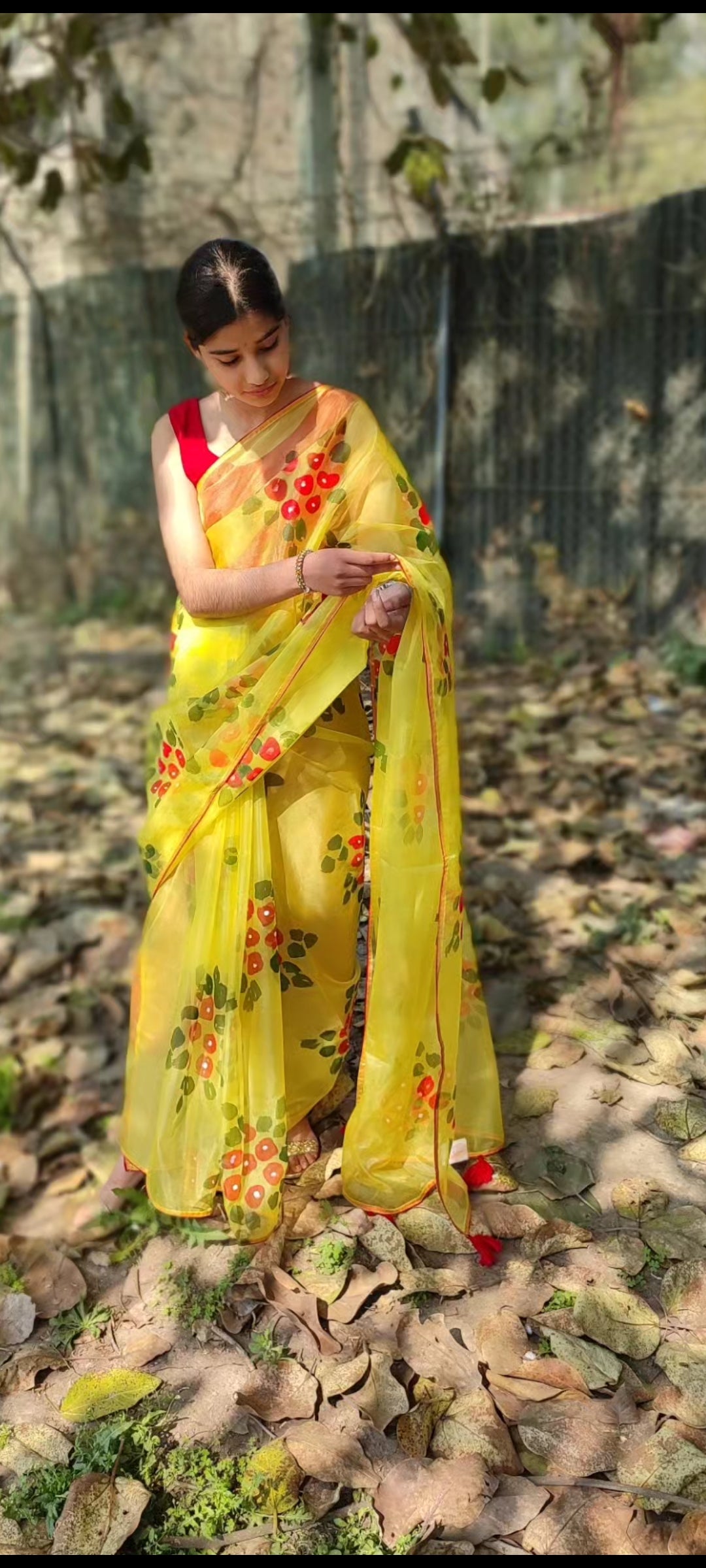 Hand-painted  organza saree