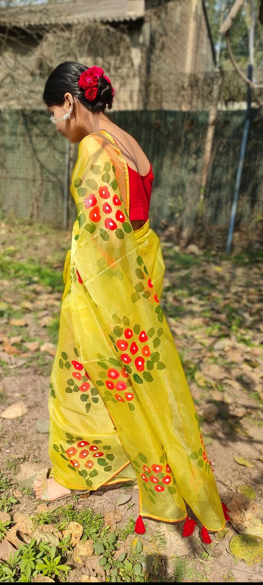 Hand-painted  organza saree