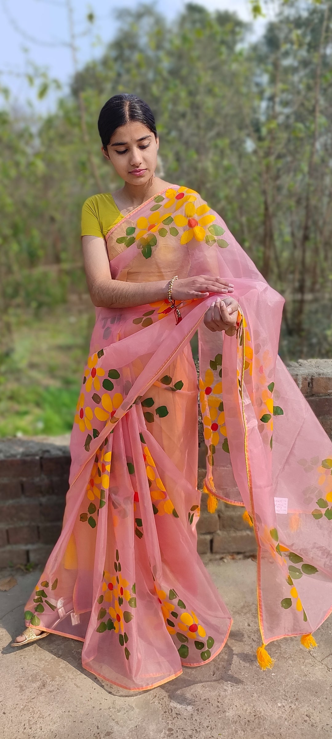 Hand-painted organza saree