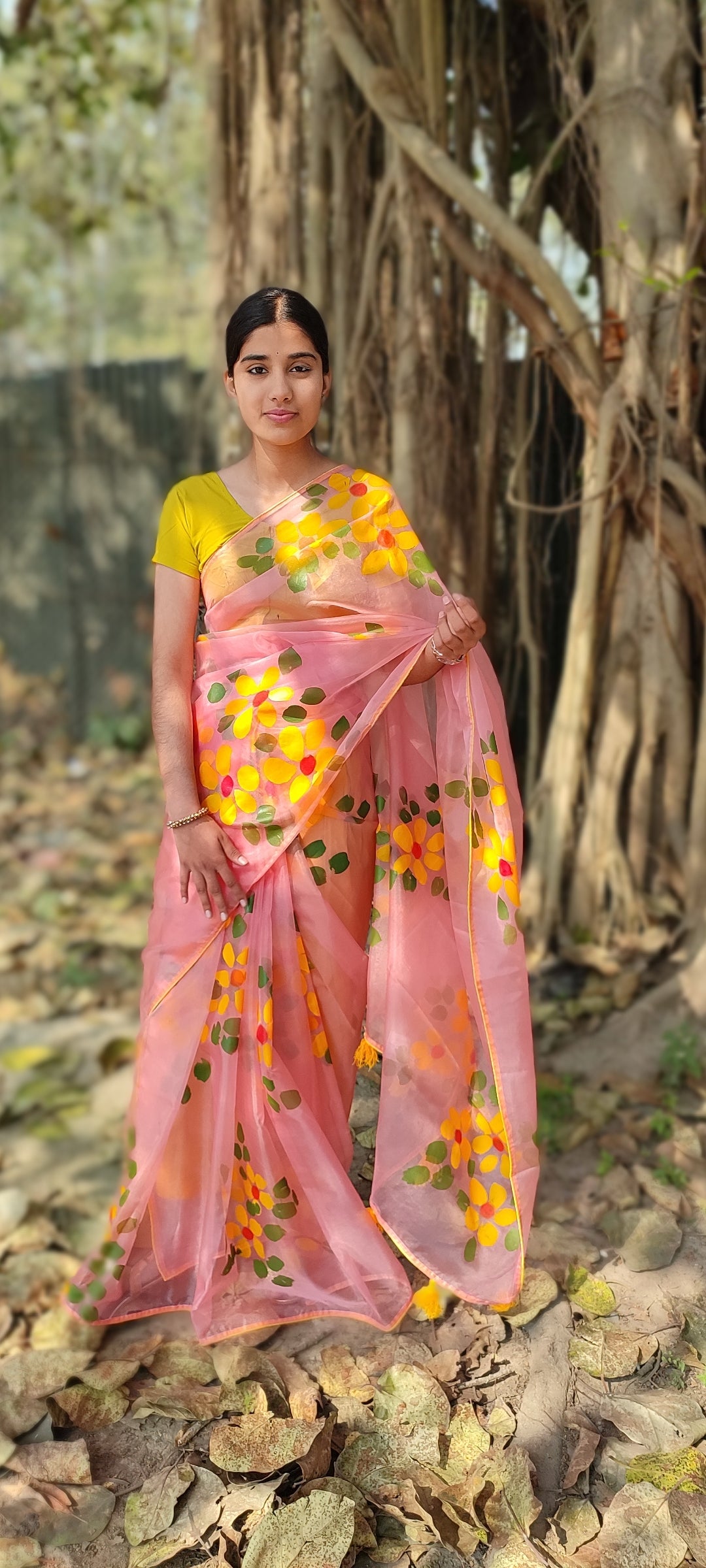 Hand-painted organza saree