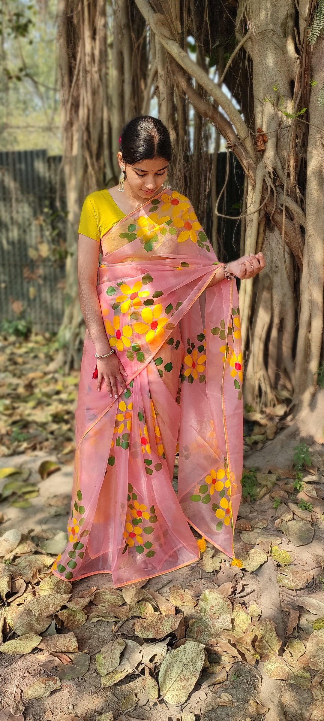 Hand-painted organza saree