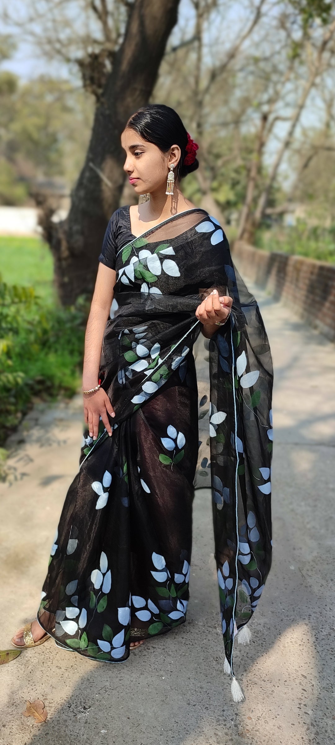 Hand-painted organza saree