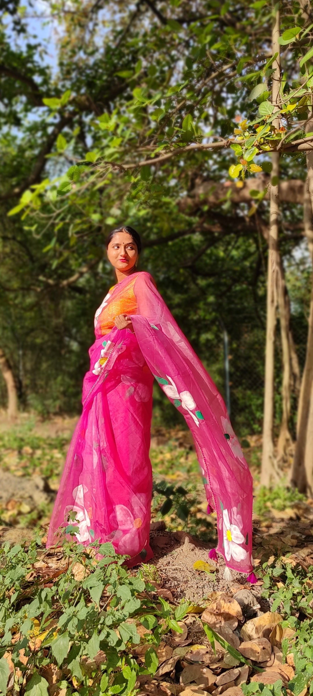 Handpainted organza saree