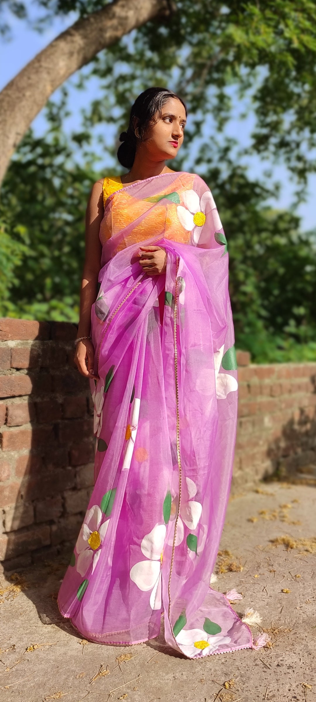 Handpainted organza saree