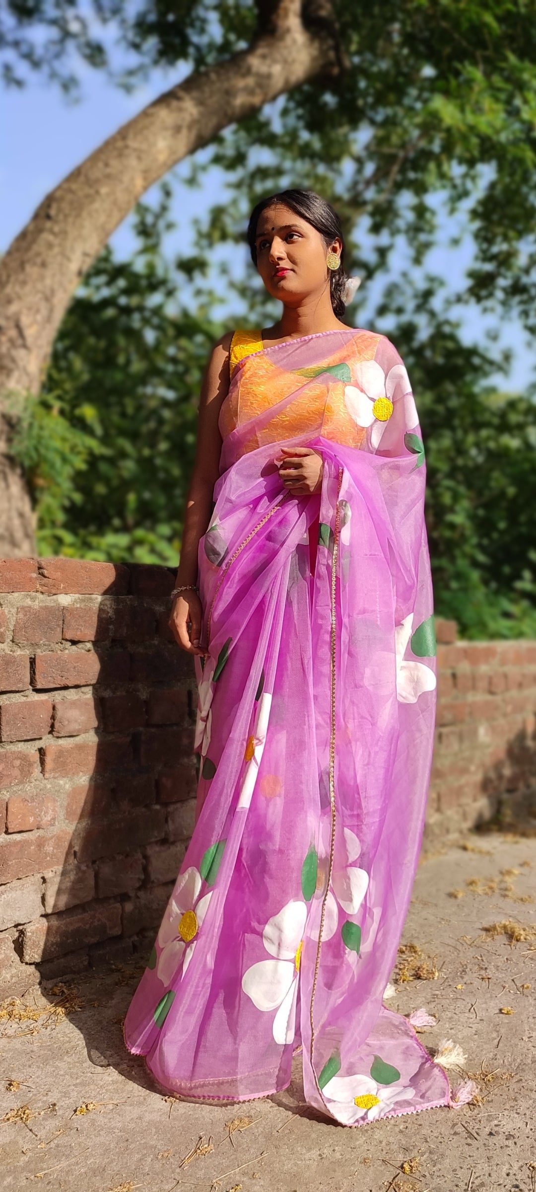 Handpainted organza saree