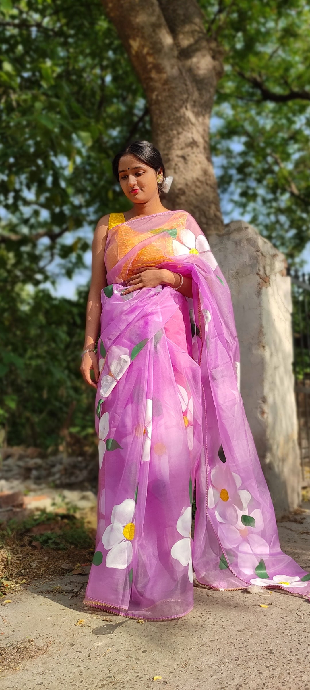 Handpainted organza saree