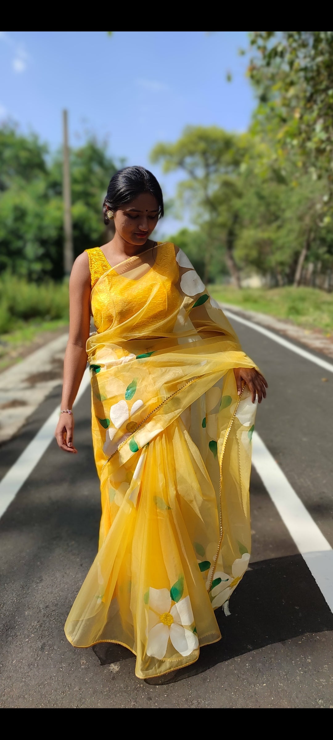 Handpainted organza  saree