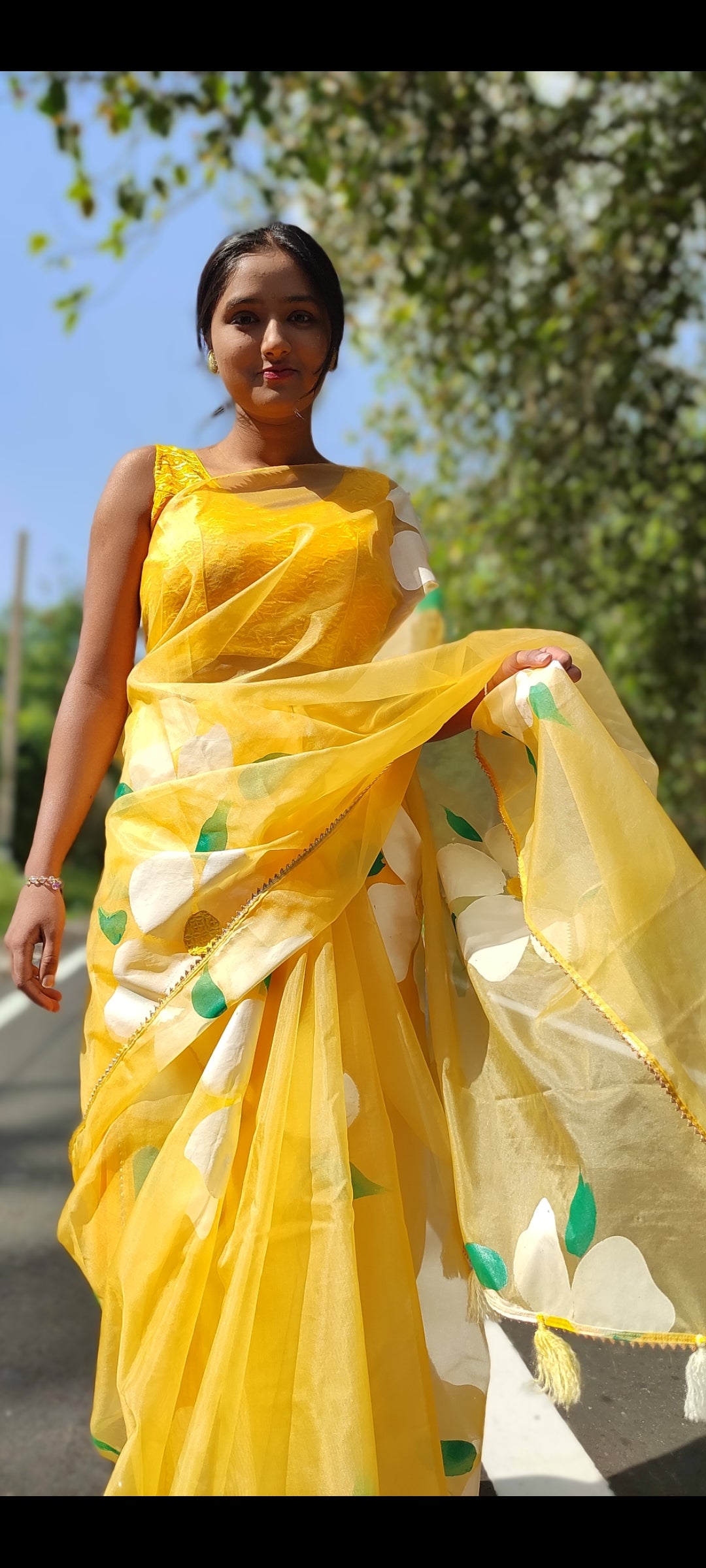 Handpainted organza  saree