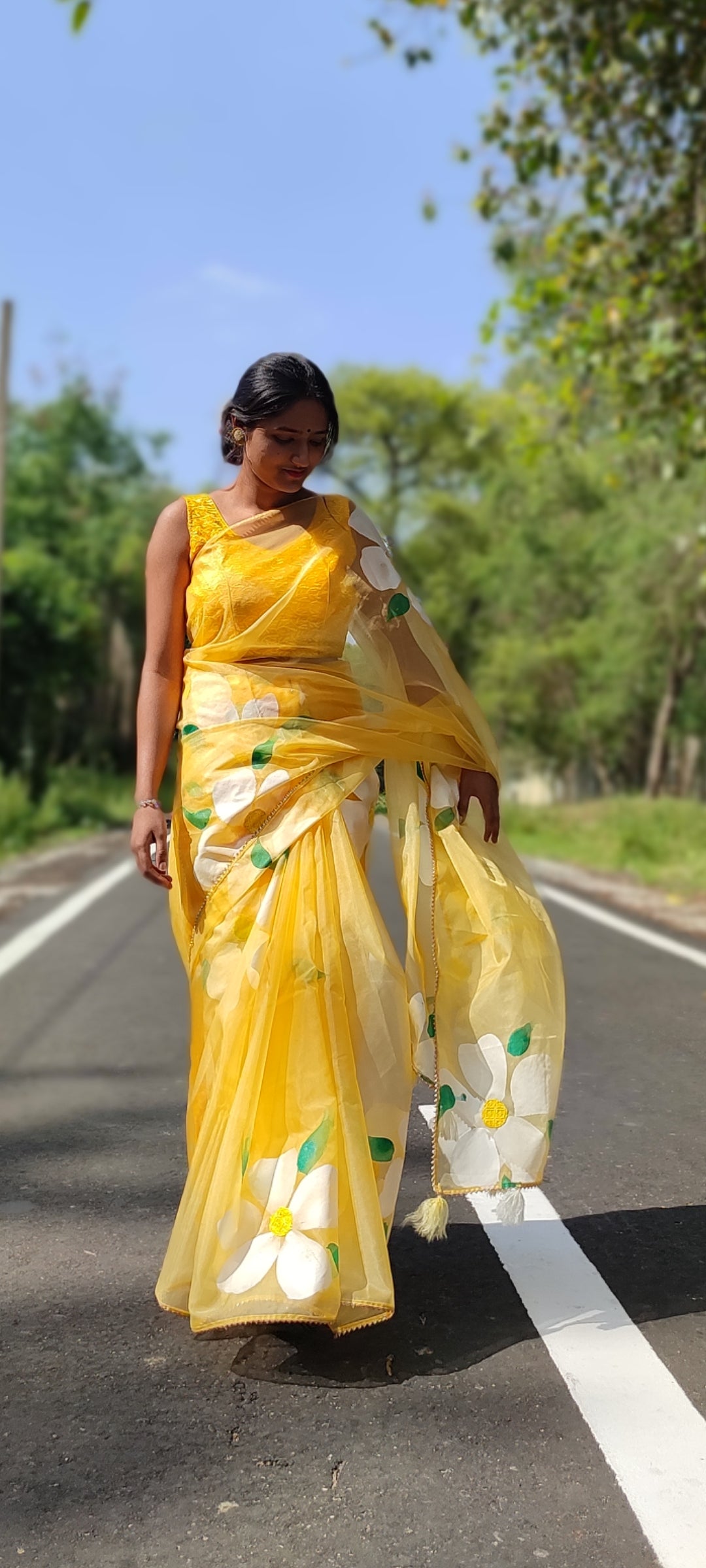 Handpainted organza  saree