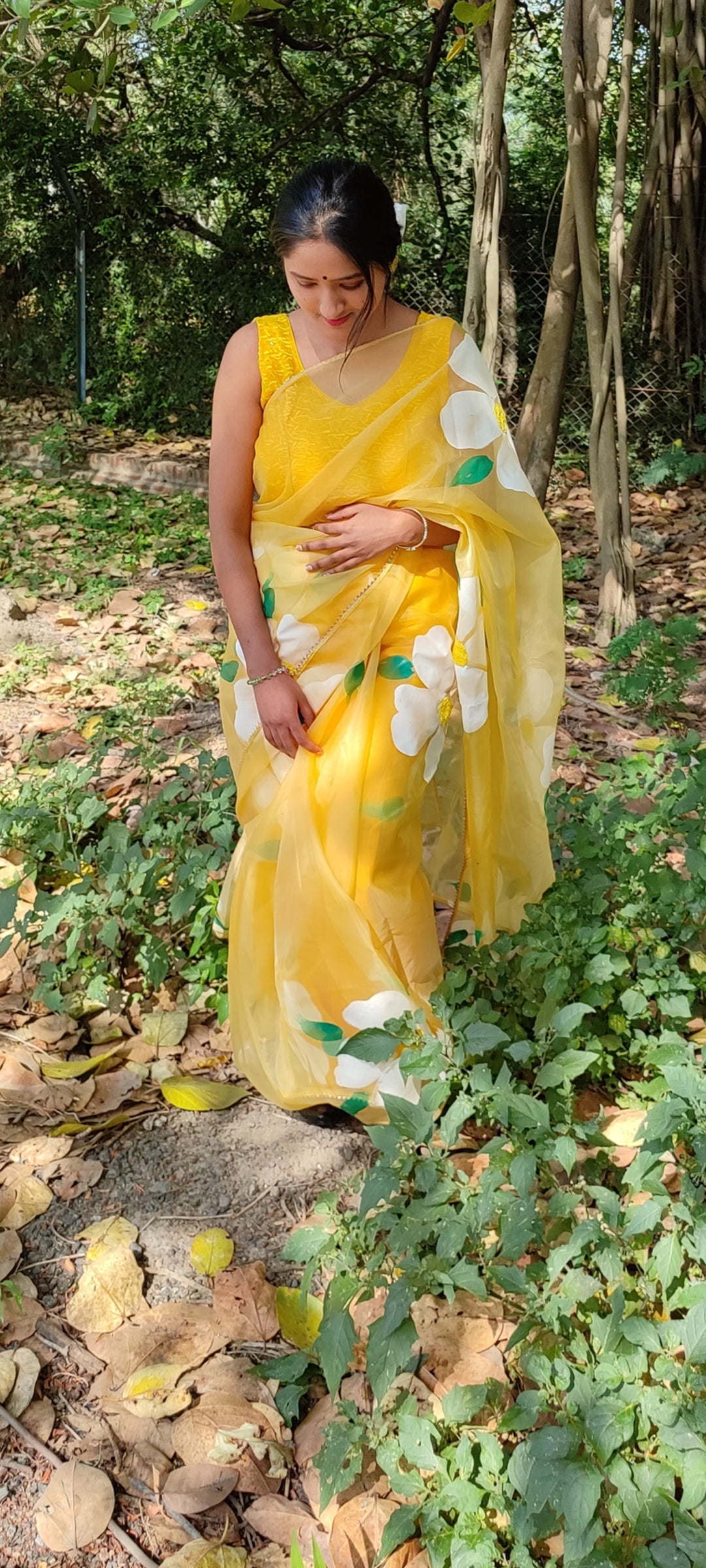 Handpainted organza  saree