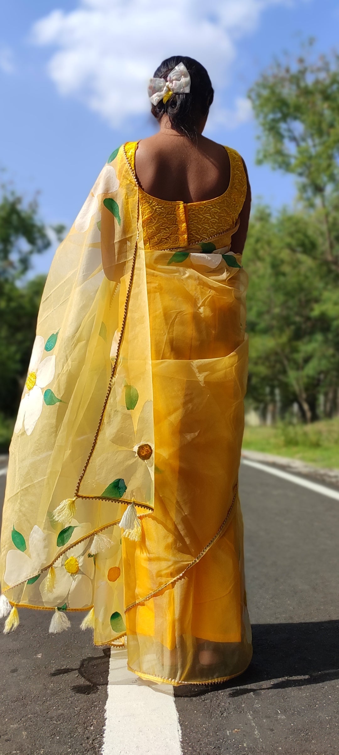 Handpainted organza  saree