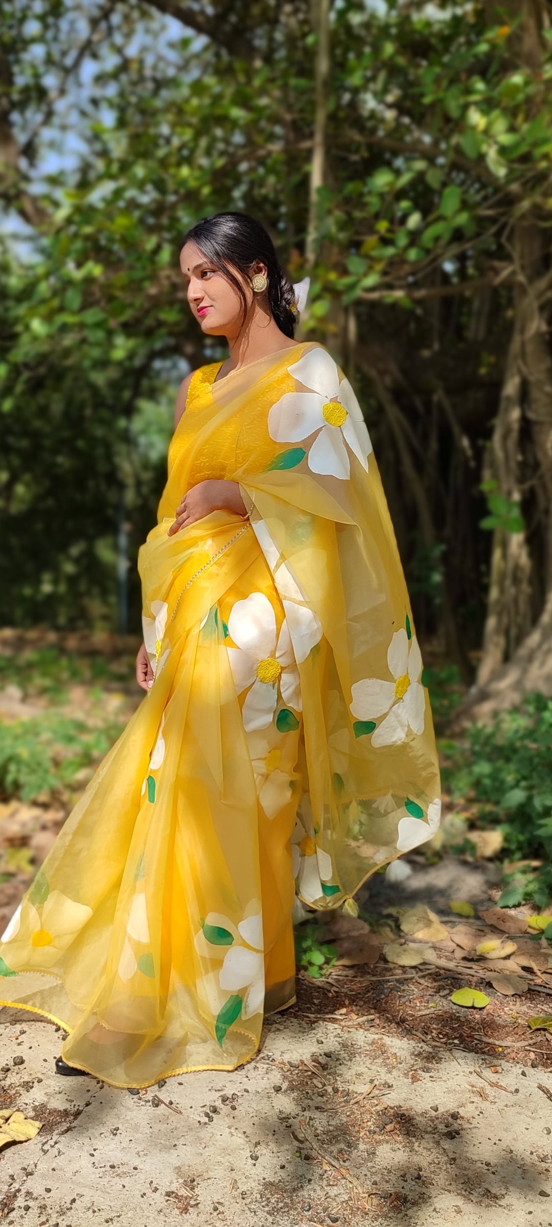 Handpainted organza  saree