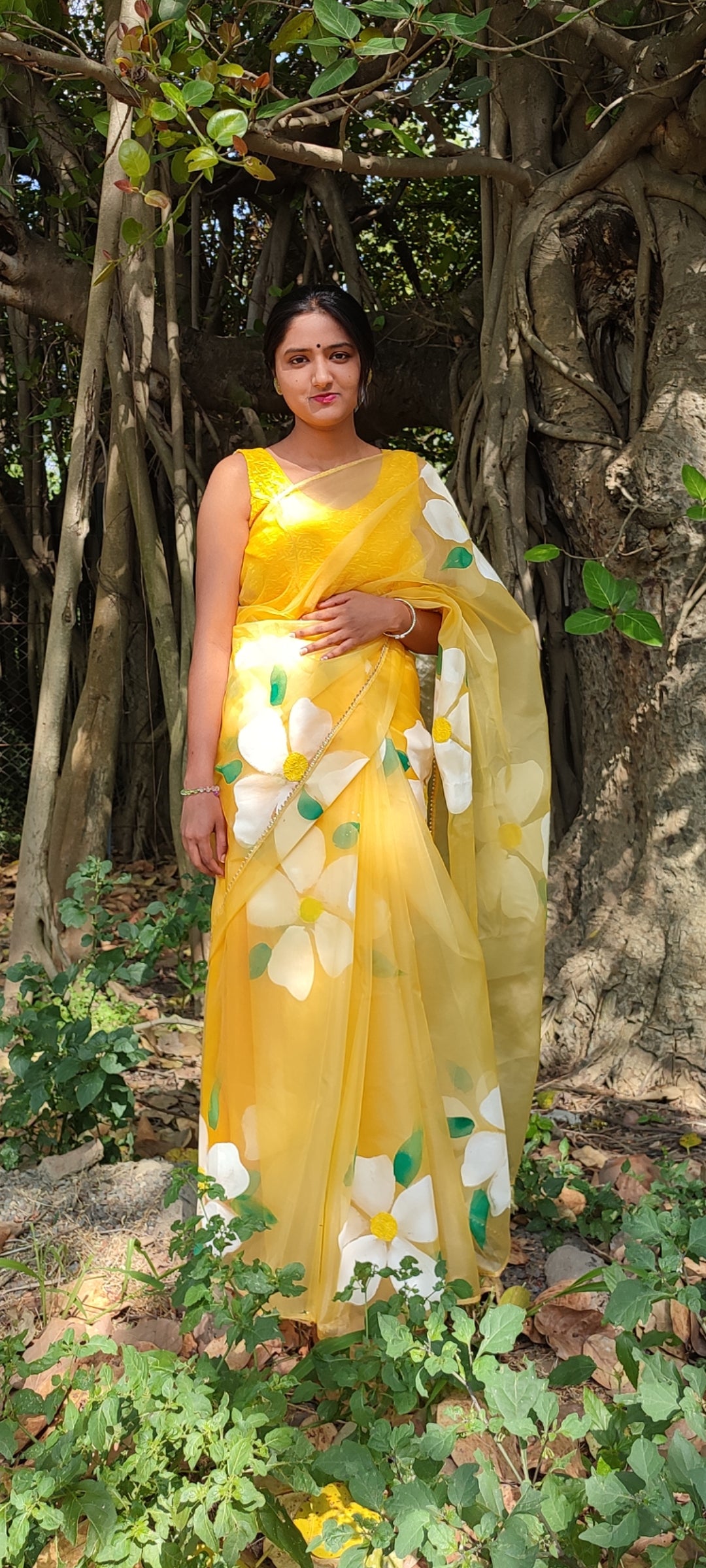 Handpainted organza  saree