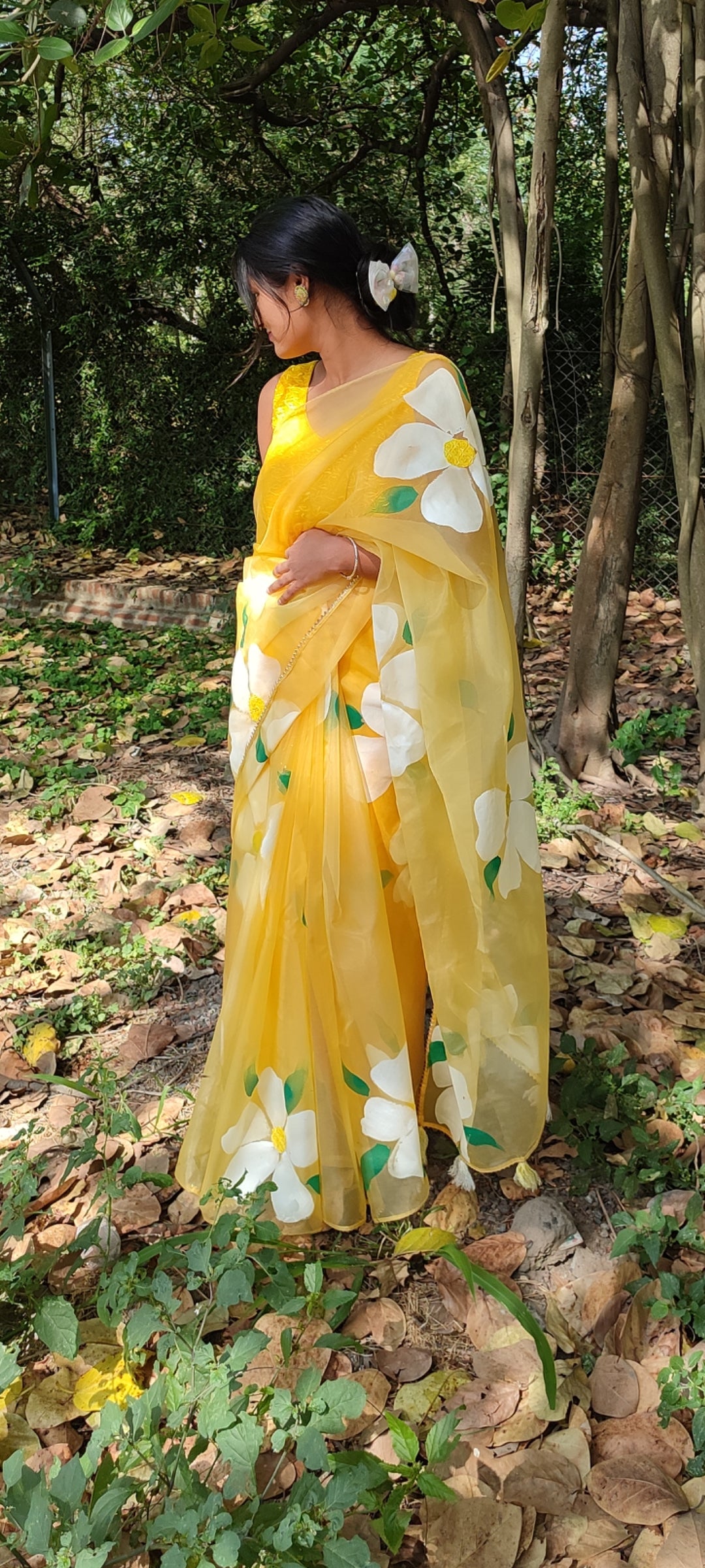 Handpainted organza  saree