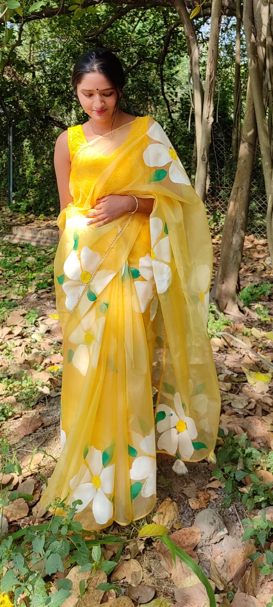 Handpainted organza  saree