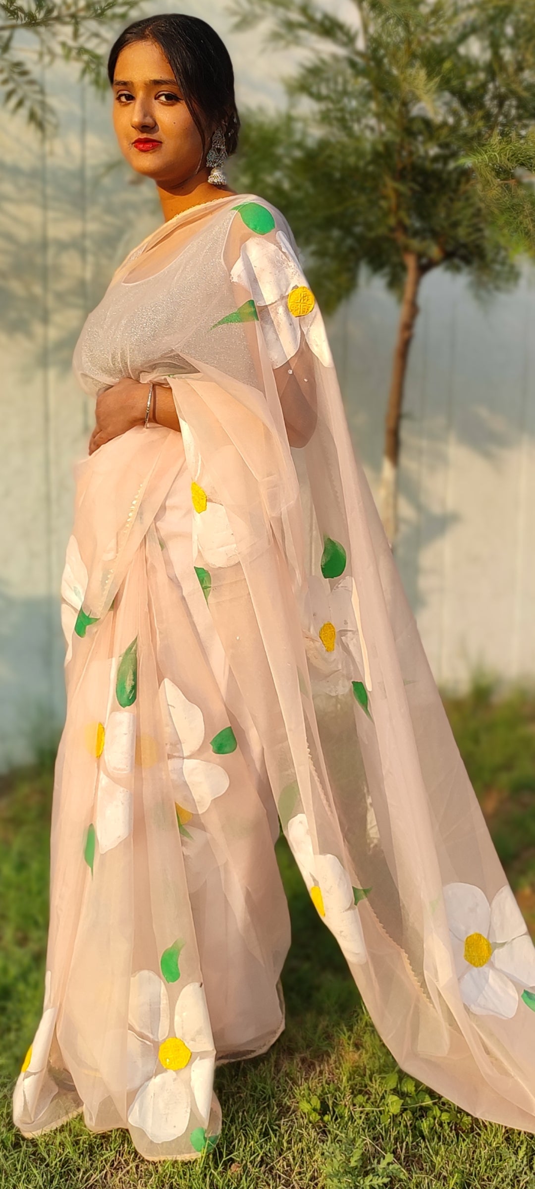 Handpainted organza saree