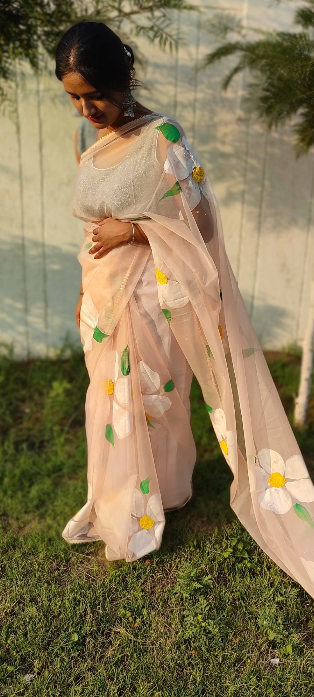 Handpainted organza saree