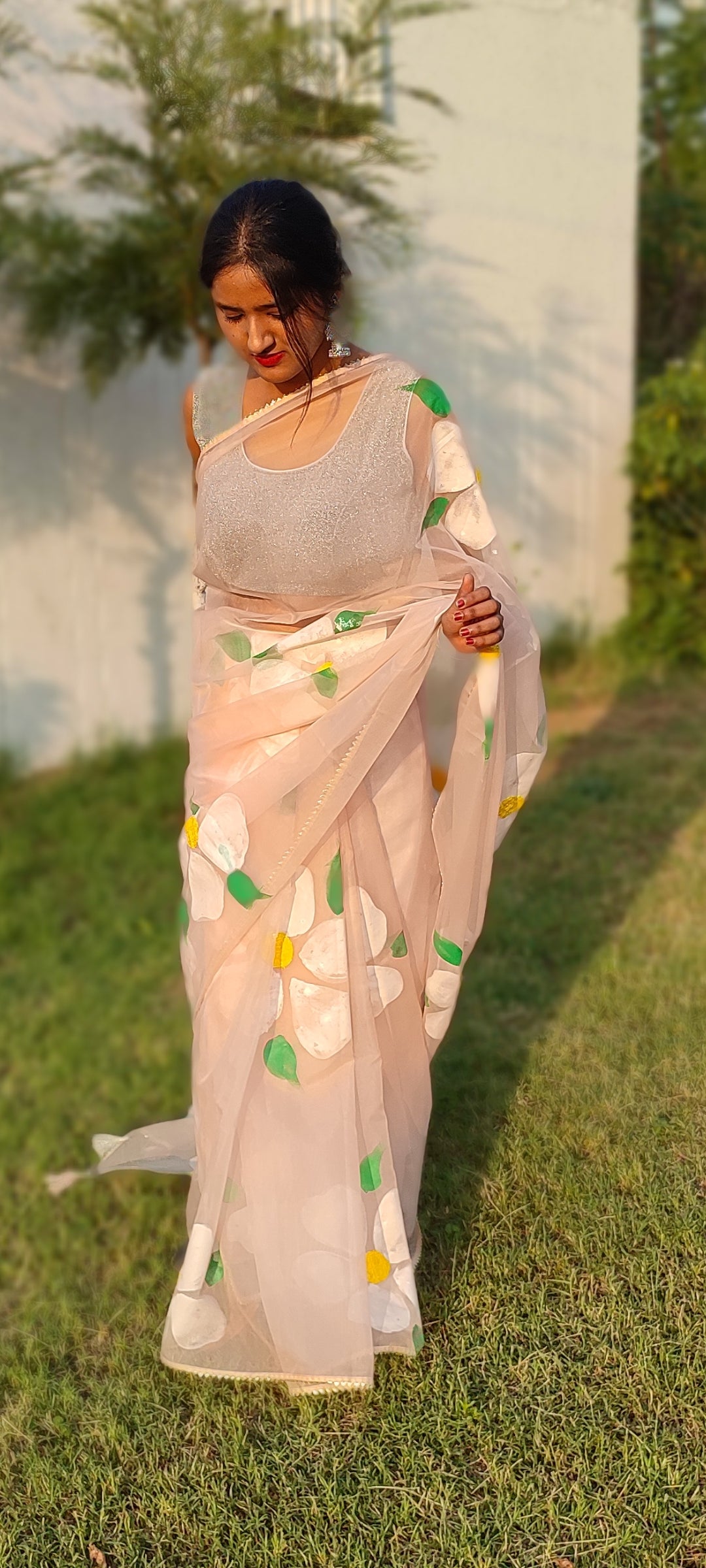 Handpainted organza saree