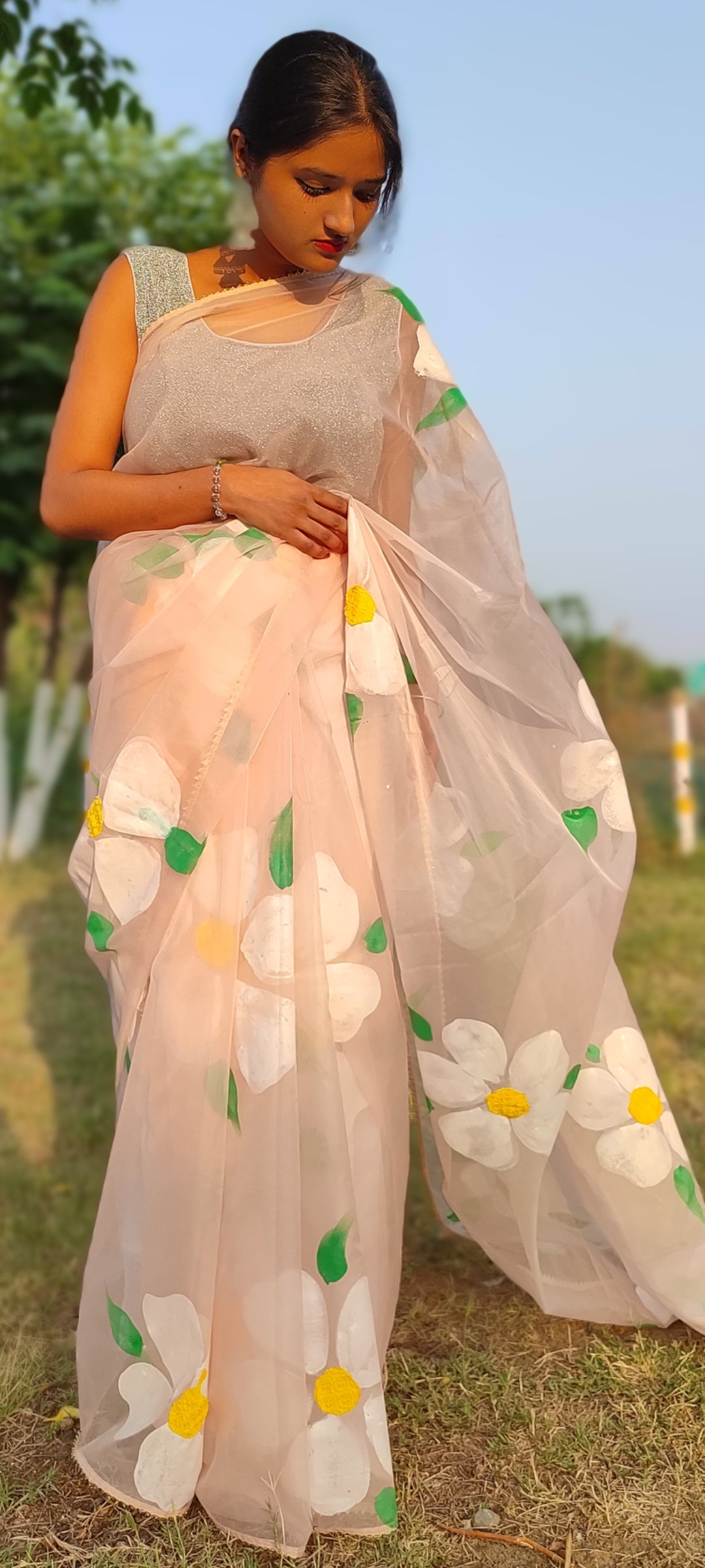 Handpainted organza saree