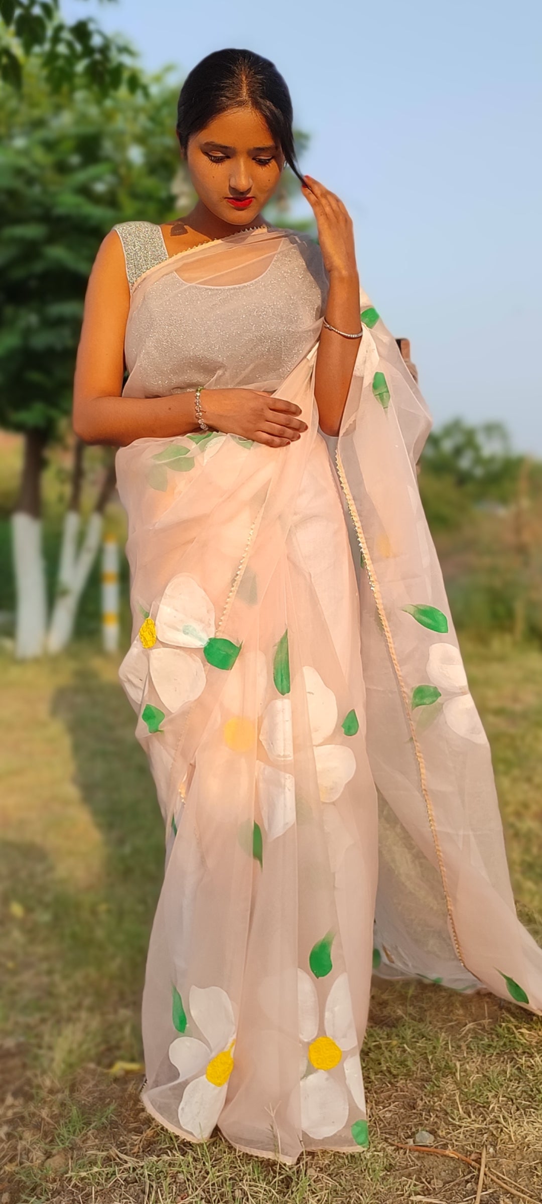 Handpainted organza saree