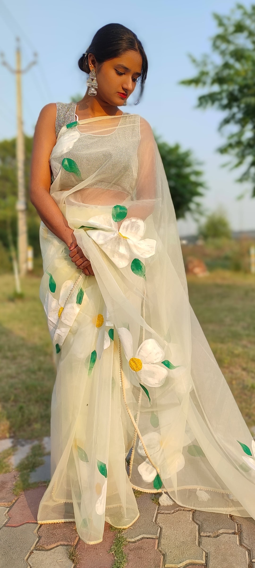 Handpainted organza saree