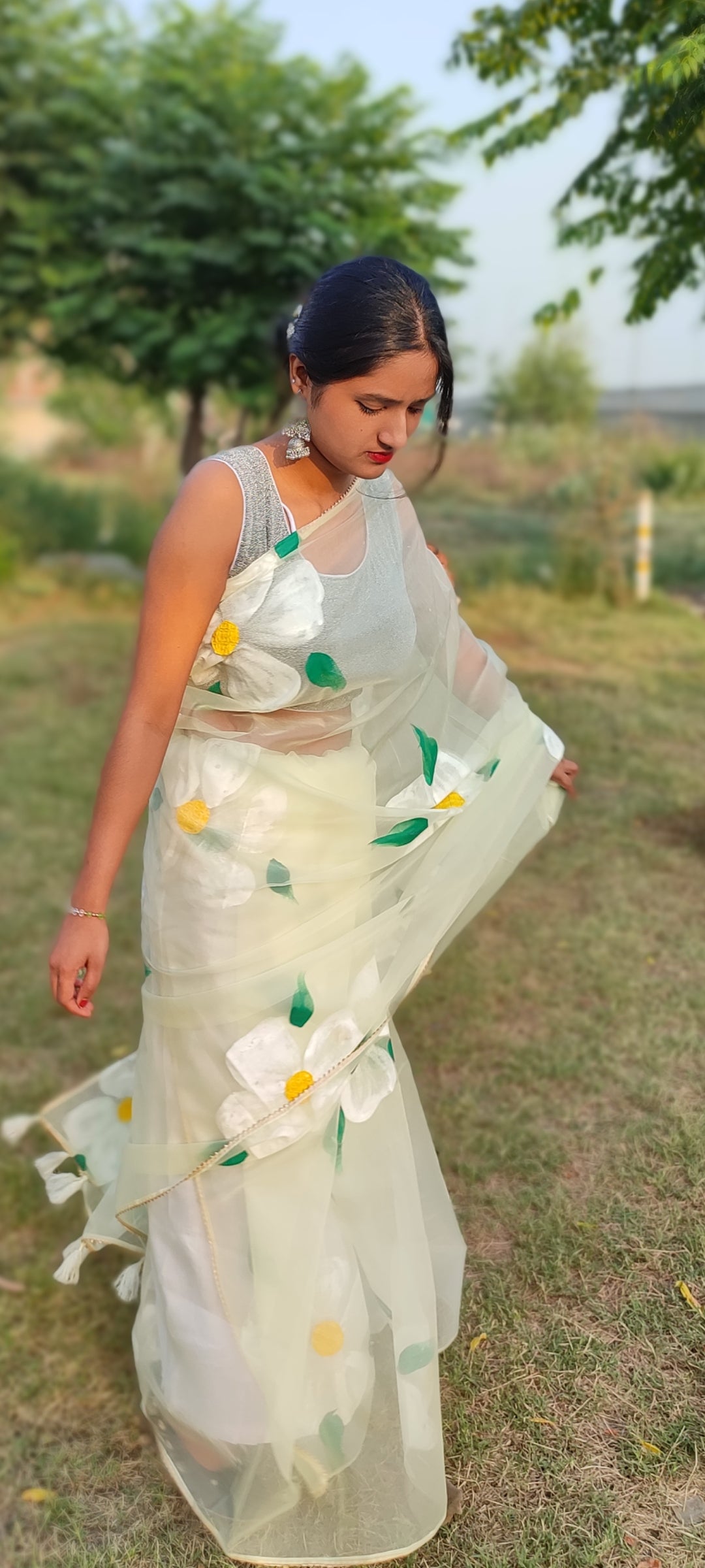 Handpainted organza saree