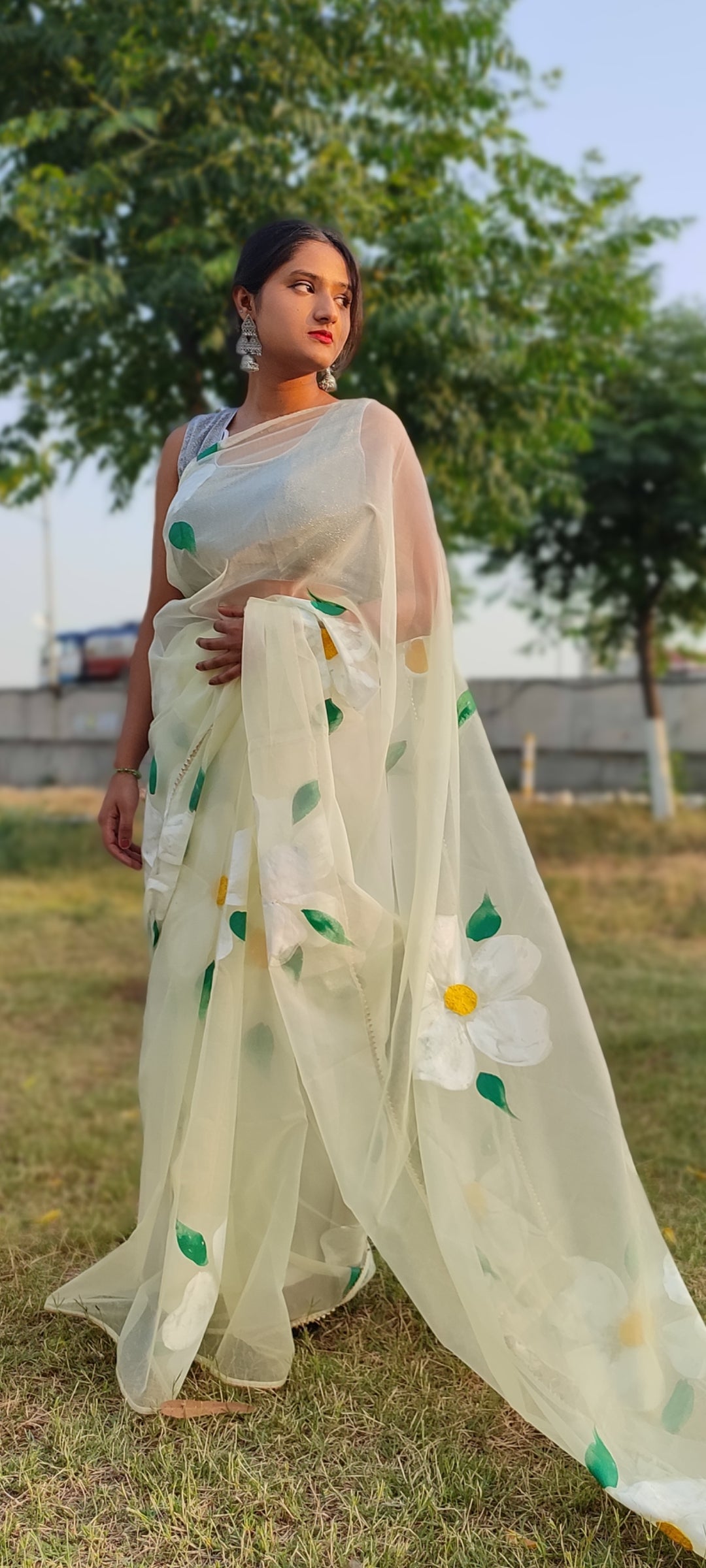 Handpainted organza saree