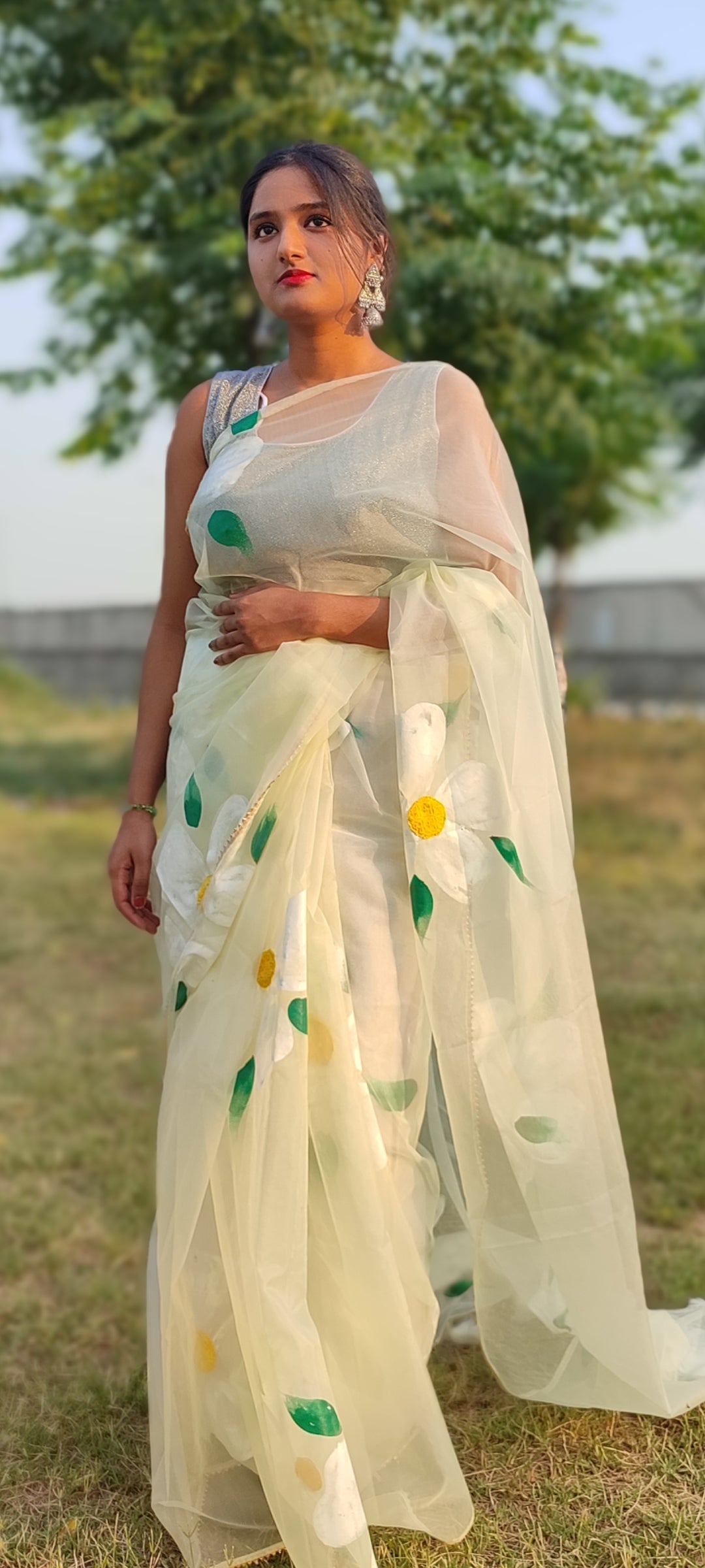 Handpainted organza saree