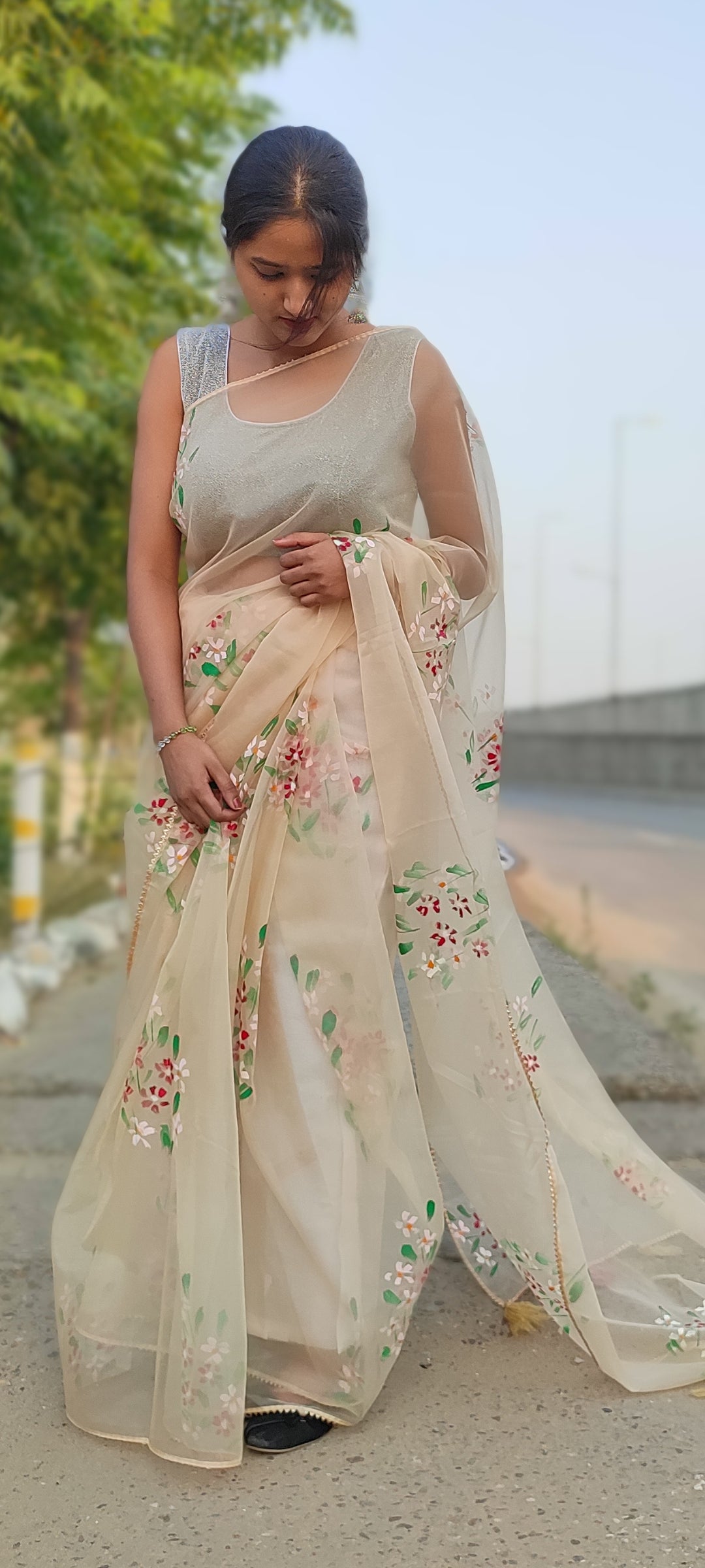 Handpainted organza saree