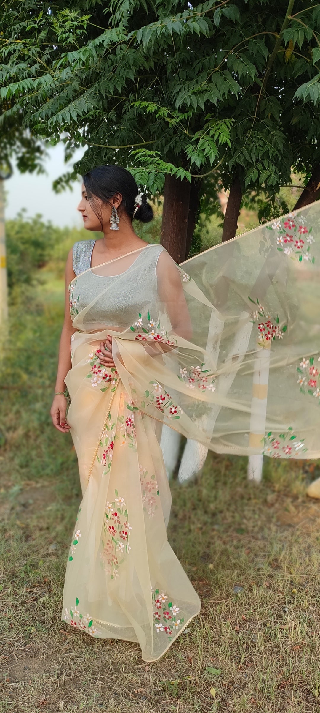 Handpainted organza saree