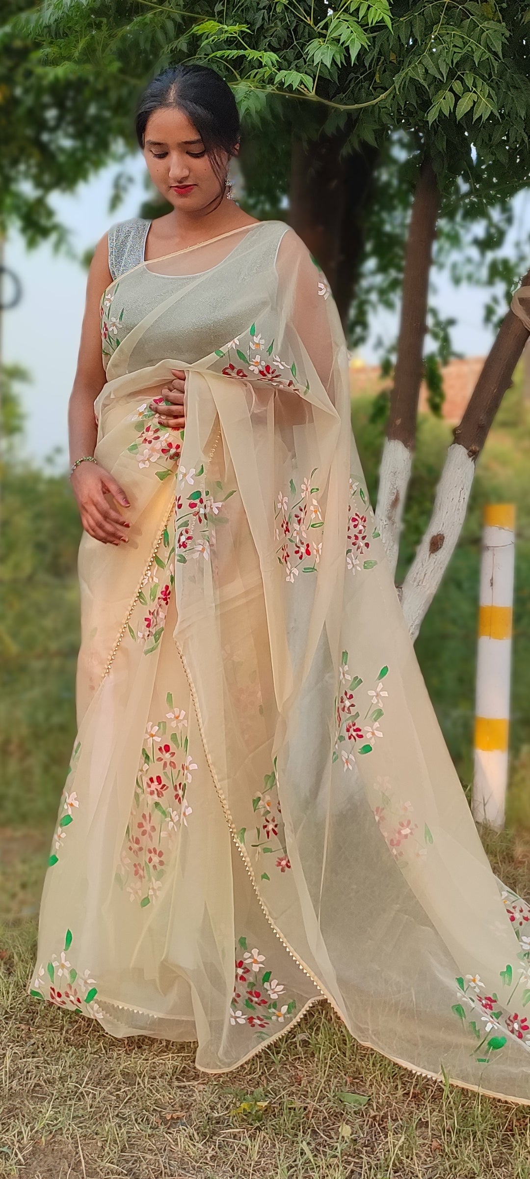 Handpainted organza saree