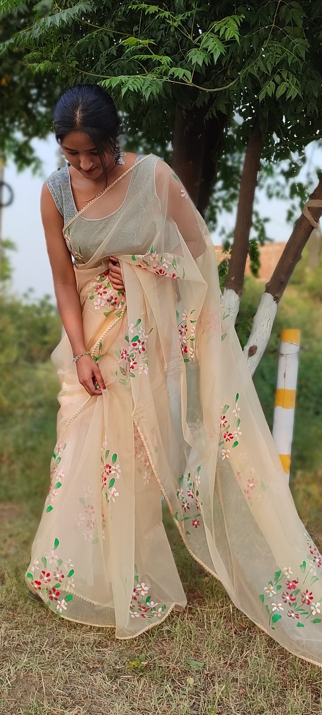 Handpainted organza saree