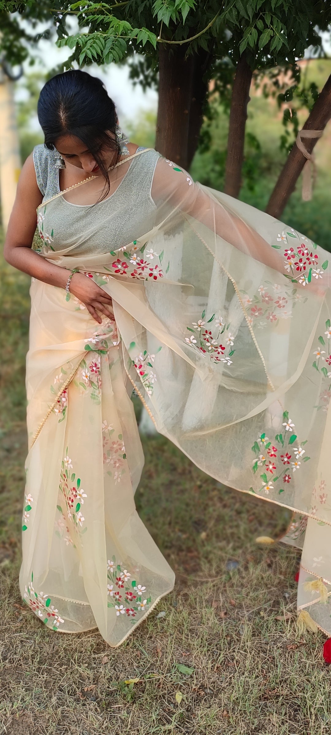 Handpainted organza saree